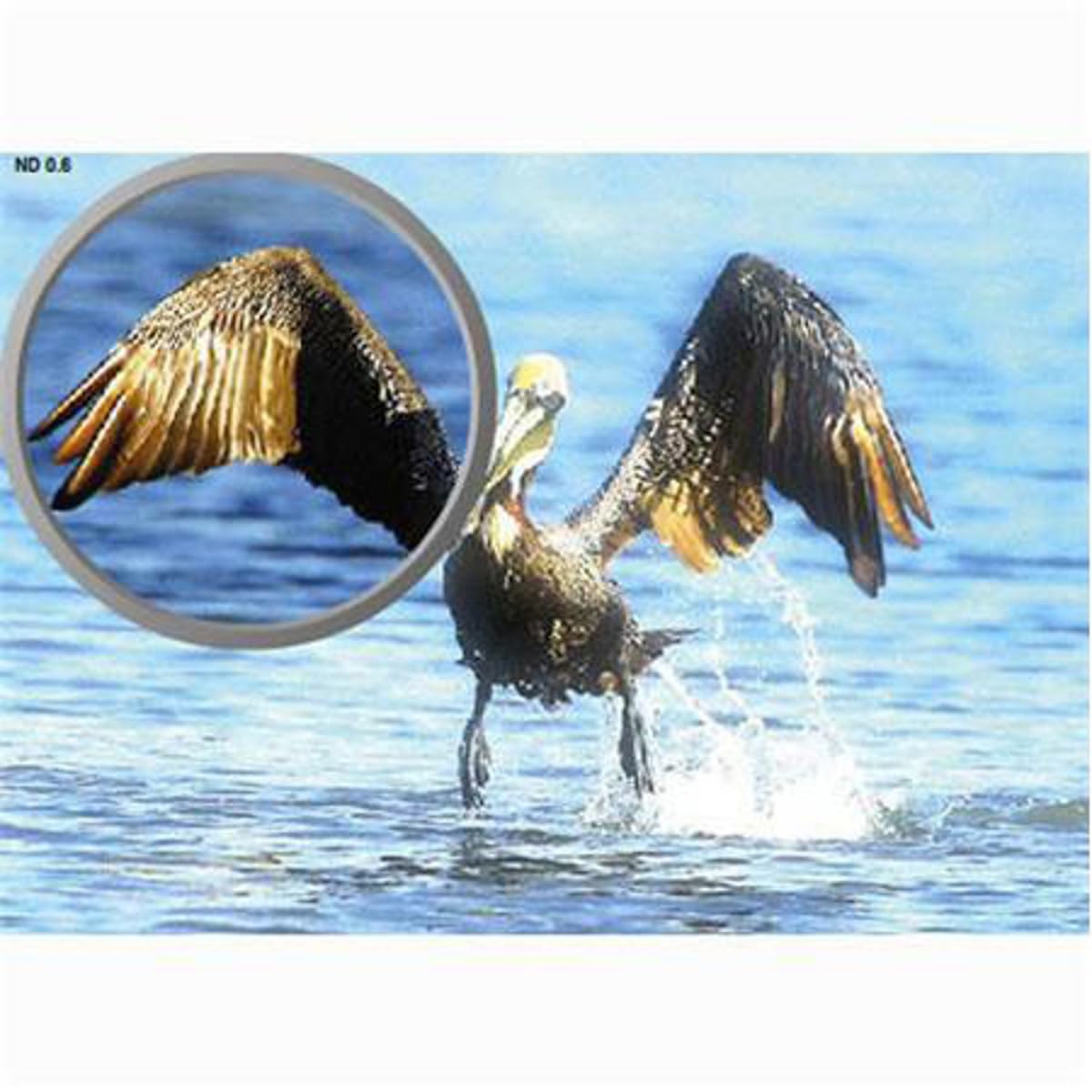 Tiffen 77mm Neutral Density 0.3 Filter for Enhanced Photography and Videography Performance - View 3 of 4