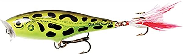Rapala Rapala Skitter Pop 05 Fishing Lure - 2-Inch Lime Frog for Topwater Action