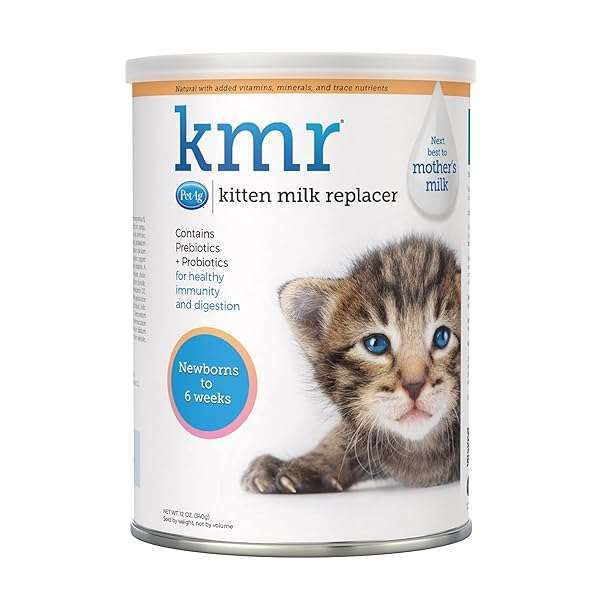 PetAg Pet-Ag KMR Kitten Milk Replacer Powder - Nutrient-Rich Formula for Newborn Kittens, Easy to Digest & Packed with Probiotics - View 6 of 9