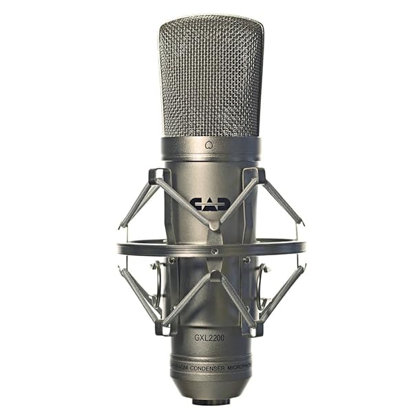 CAD Audio CAD GXL2200 Cardioid Condenser Microphone Review: Champagne Finish & Performance Insights - View 2 of 2
