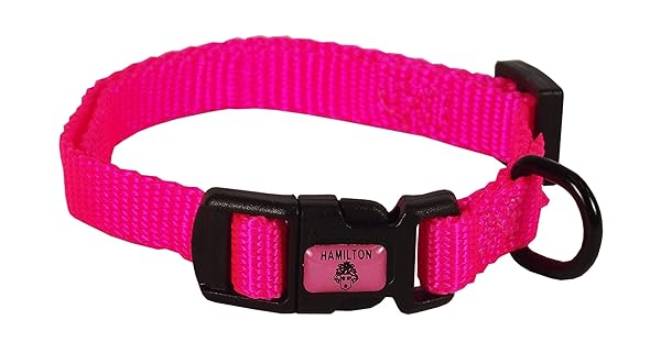 "Shop Hamilton Adjustable Hot Pink Nylon Dog Collar 3/8" x 7-12" - Durable & Stylish Pet Accessory"