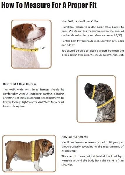 Hamilton "Shop Hamilton Adjustable Nylon Dog Collar - Blue, 1" x 18-26" for Comfort & Style" - View 4 of 4