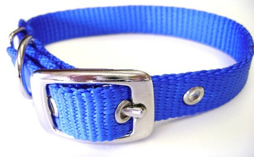 Buy Hamilton 5/8-Inch Blue Nylon Deluxe Dog Collar - Durable & Stylish for Your Pet