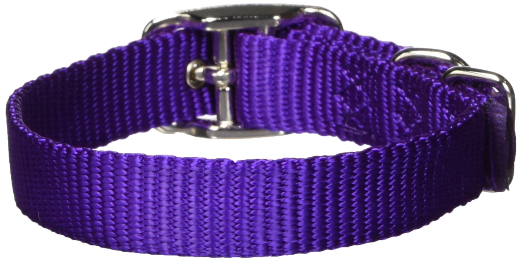 Buy Hamilton 5/8-Inch Purple Nylon Deluxe Dog Collar - Durable & Stylish for Your Pet