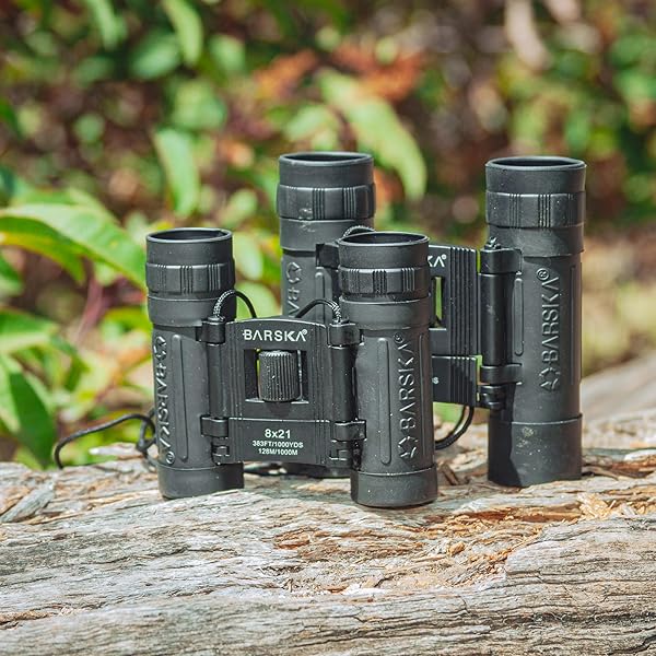 BARSKA BARSKA Lucid View 10x25 Compact Binoculars with Blue Lens - Lightweight & Portable for Outdoor Adventures - View 6 of 9