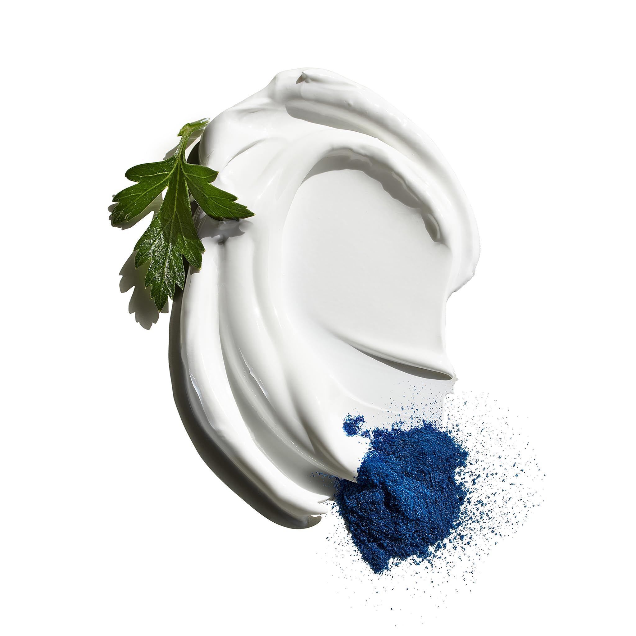 Jack Black - View 2 of 8