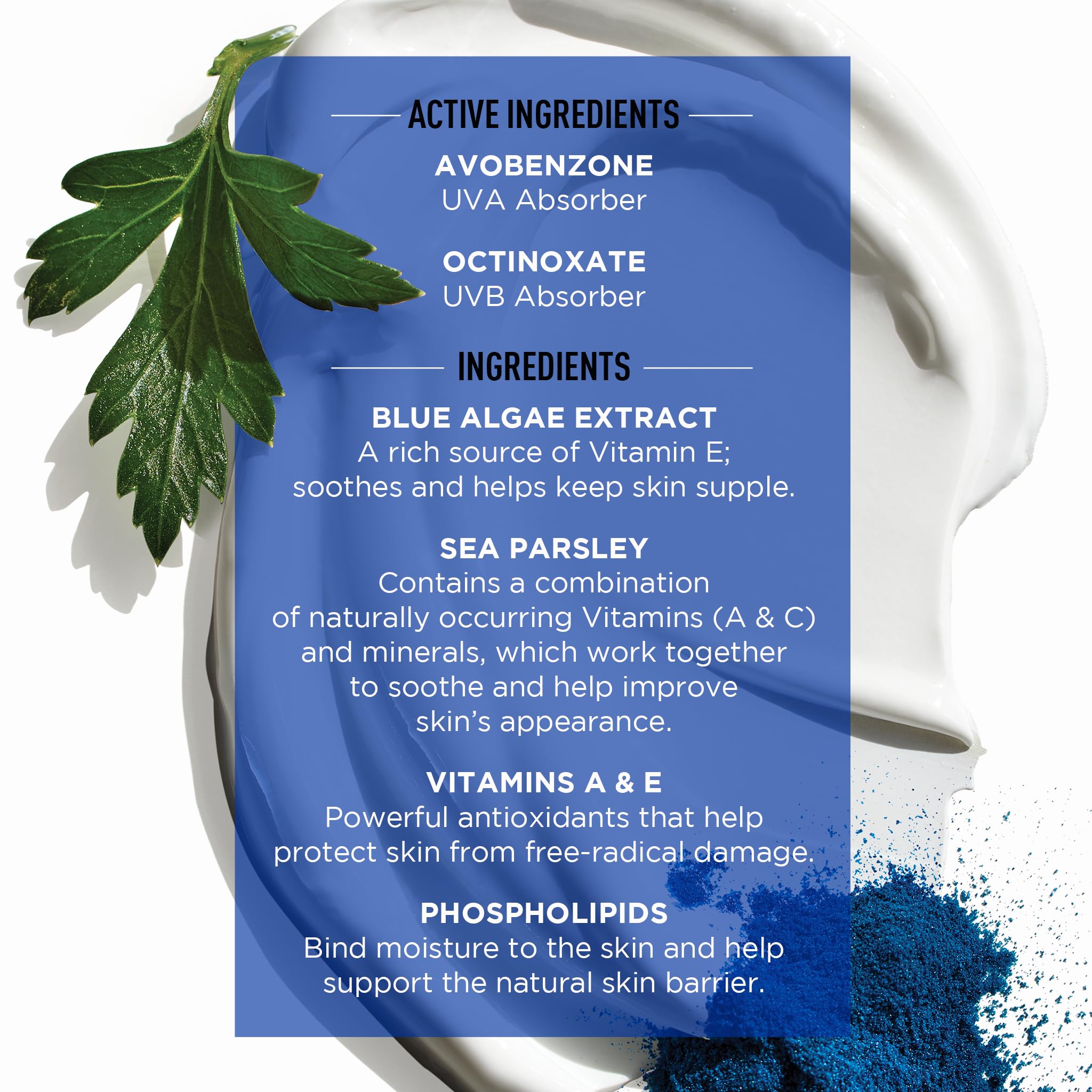 Jack Black - View 4 of 8