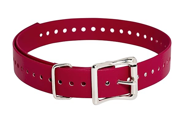 SportDOG SportDOG Brand 1 Inch Waterproof Rustproof Collar Straps with Tightly Spaced Holes for Perfect Fit Red