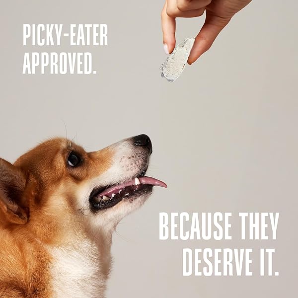 Whole Life Pet Products Whole Life Dog Just One Chicken Freeze Dried Treats High Protein Healthy Snacks USA Made 21 oz Value Pack - View 5 of 6