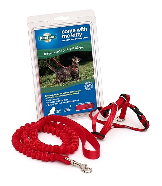 PetSafe PetSafe Come with Me Kitty Harness and Bungee Leash Large Red for Safe and Comfortable Cat Walking - View 2 of 4