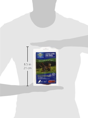 PetSafe PetSafe Come with Me Kitty Harness and Bungee Leash Large Red for Safe and Comfortable Cat Walking - View 3 of 4