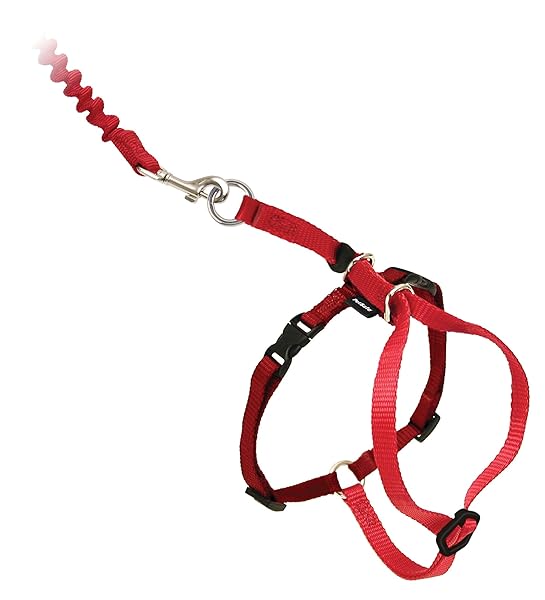 PetSafe PetSafe Come with Me Kitty Harness and Bungee Leash Large Red for Safe and Comfortable Cat Walking