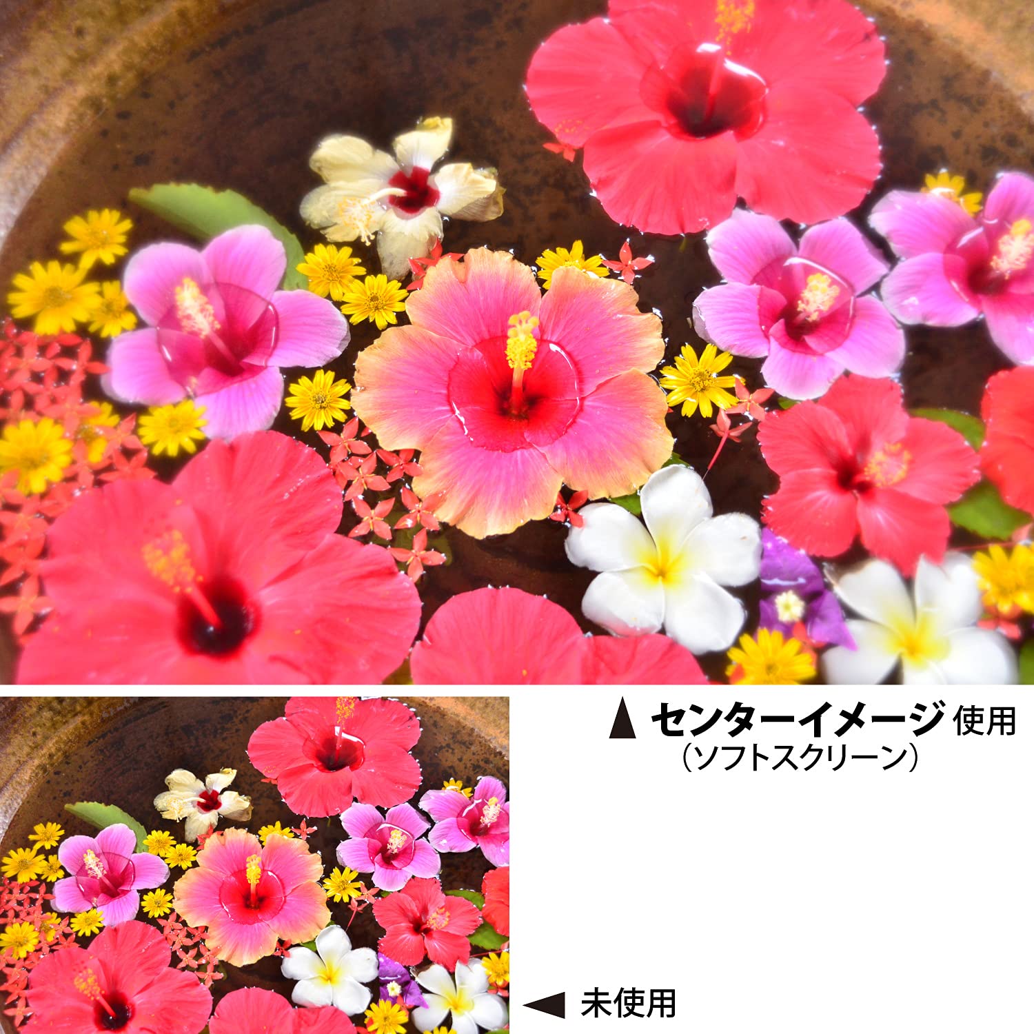 Kenko Kenko 77mm PRO1D Pro Softon Type A Digital Multi Coated Camera Lens Filter for Stunning Photography - View 4 of 9