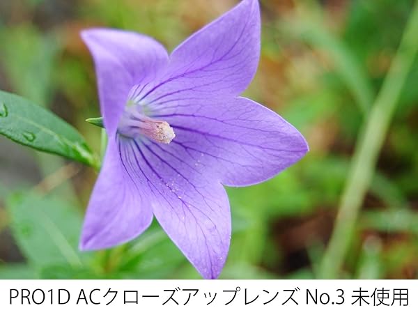 Kenko Kenko 77mm AC No.3 Achromatic Close-Up Lens: Enhance Your Photography Today! - View 6 of 6