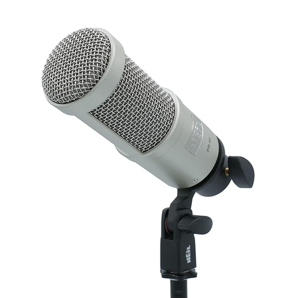 Heil Sound Heil PR 40 Dynamic Microphone: Perfect for Streaming, Podcasting & Live Music - Superior Sound & Noise Rejection in Champagne - View 4 of 5
