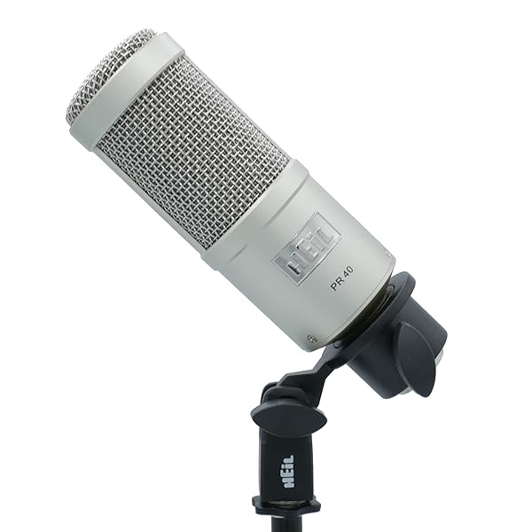 Heil Sound Heil PR 40 Dynamic Microphone: Perfect for Streaming, Podcasting & Live Music - Superior Sound & Noise Rejection in Champagne - View 5 of 5