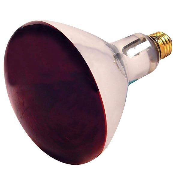 Westinghouse "Westinghouse Satco S4998 Medium Light Bulb - Bronze Finish, 6.5" Red Heat | Perfect for Home Lighting"