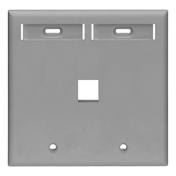 Leviton Leviton 42080-1GP 1-Port Dual Gang QuickPort Wallplate with ID Windows, Grey