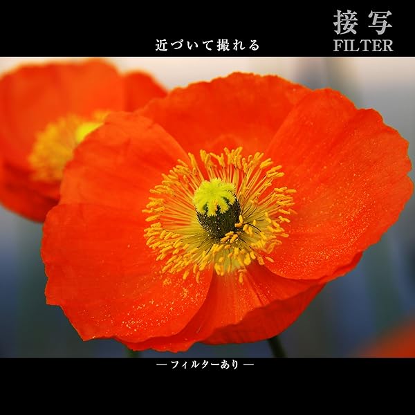 Marumi Marumi 77mm DHG Macro X3 Filter: Enhance Your Photography with Superior Close-Up Shots - View 7 of 8