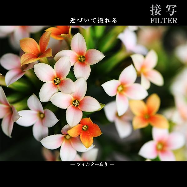 Marumi Marumi 77mm DHG Macro X3 Filter: Enhance Your Photography with Superior Close-Up Shots - View 2 of 8