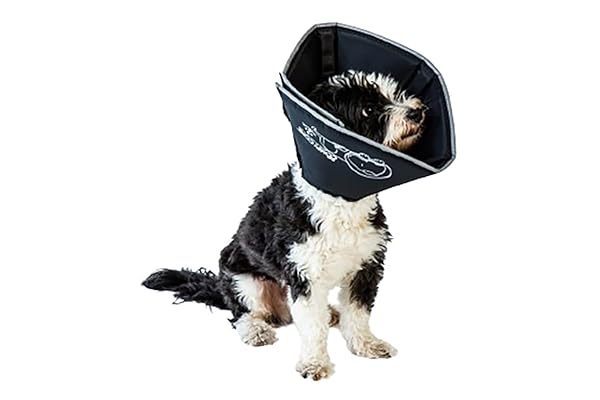 All Four Paws All Four Paws Comfy Cone X-Large Black Soft Dog and Cat Collar Alternative for Surgery Recovery and Wound Care
