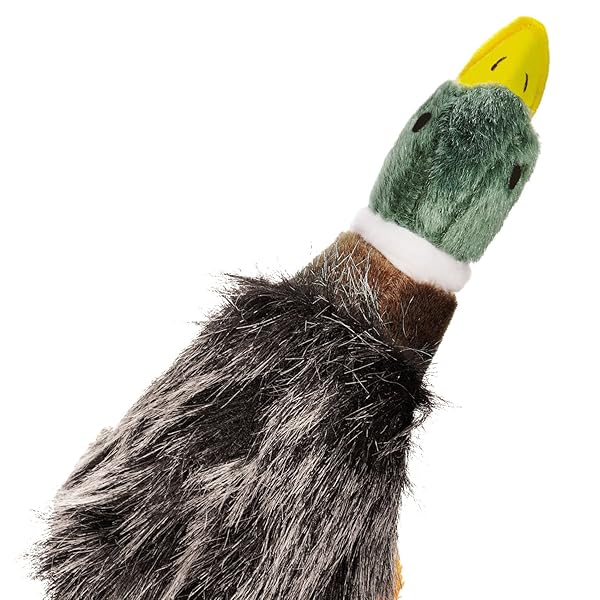 Grriggles Grriggles Squawk Flock Dog Toy 12 Inch Mallard for Fun Playtime and Interactive Fetch - View 2 of 3