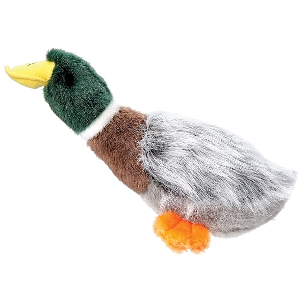 Grriggles Grriggles Squawk Flock Dog Toy 12 Inch Mallard for Fun Playtime and Interactive Fetch