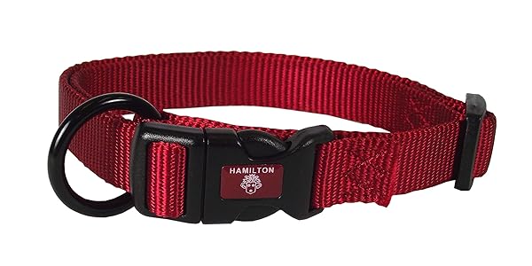 "Buy Hamilton Adjustable Nylon Dog Collar - Red, 1" x 18-26" | Durable & Stylish Pet Accessory"