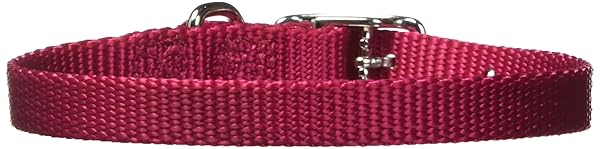 "Shop Hamilton Adjustable Nylon Dog Collar in Wine - 3/8" x 7-12" for Comfort & Style"