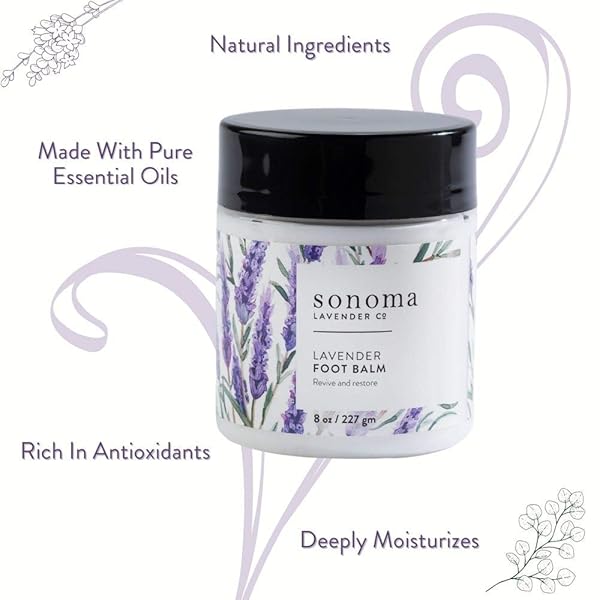 Sonoma Lavender Sonoma Lavender Lavender and Peppermint Foot Balm Moisturizer for Dry Feet Revive Restore Overworked Feet Softens Rough Skin 8oz - View 3 of 5