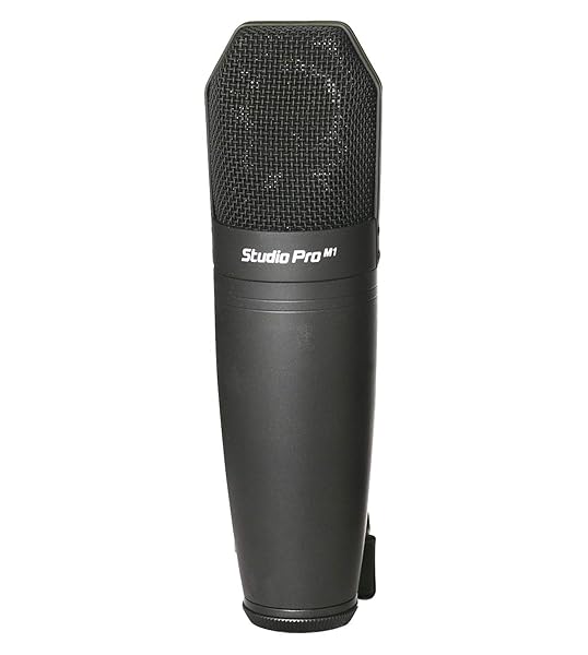 Peavey Peavey Studio Pro M1 Condenser Microphone Review: Best Sound Quality for Home Recording