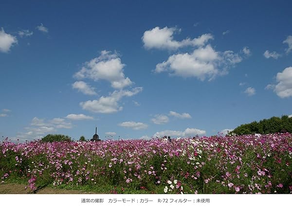 Kenko Kenko 77mm PRO1D R72 Digital Multi Coated Camera Lens Filter for Enhanced Photography - View 3 of 4