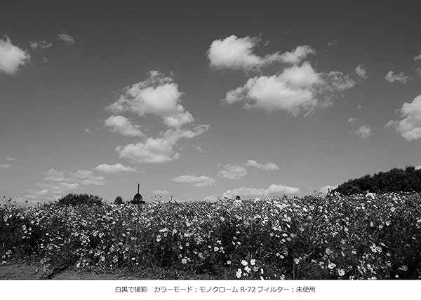 Kenko Kenko 77mm PRO1D R72 Digital Multi Coated Camera Lens Filter for Enhanced Photography - View 4 of 4