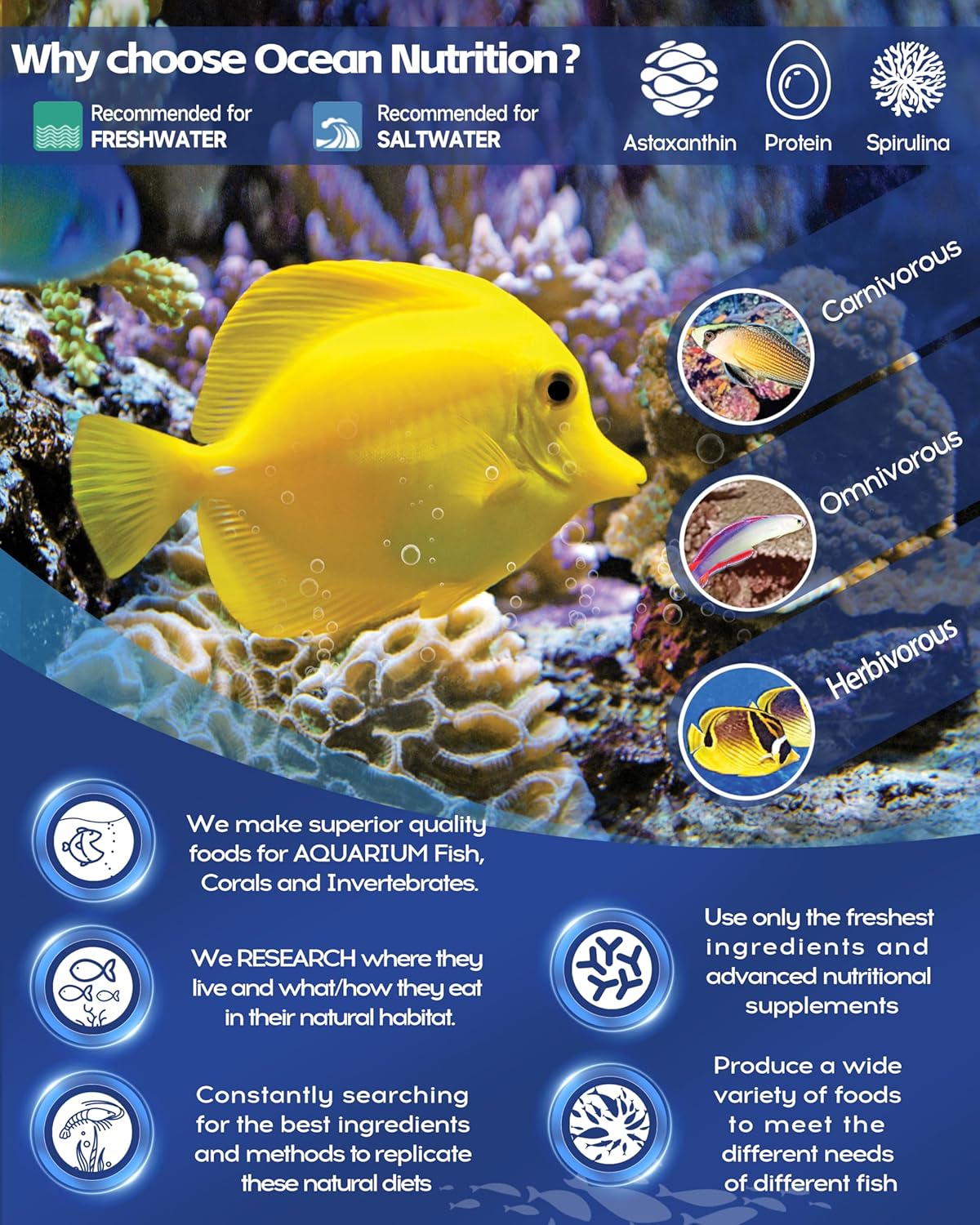 Ocean Nutrition Ocean Nutrition Discus Flakes 2.5 oz Premium Fish Food for Healthy Discus Fish Nutrition - View 6 of 7