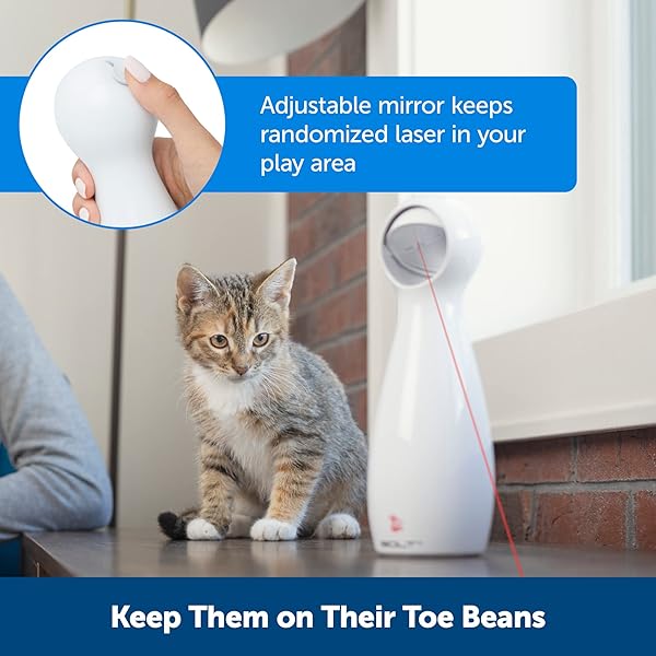 PetSafe PetSafe Bolt Automatic Interactive Laser Cat Toy with Adjustable Random Patterns for Engaging Playtime - View 6 of 8