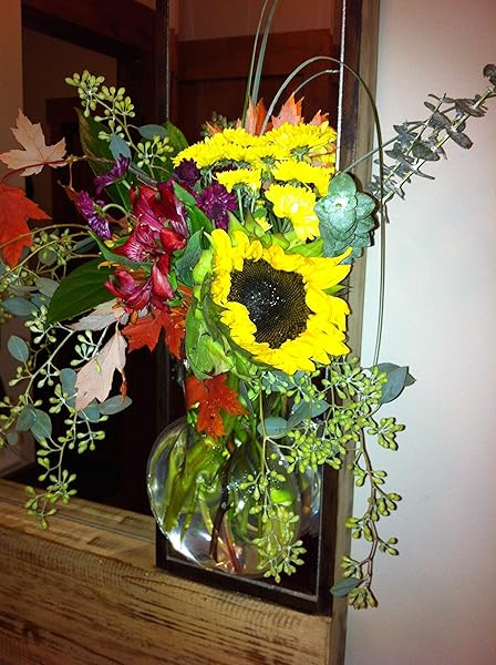 Gadjit Gadjit Vinyl Window Vase Bulb Style Suction Cup for Flowers and Greenery Clear Flexible Design - View 3 of 5