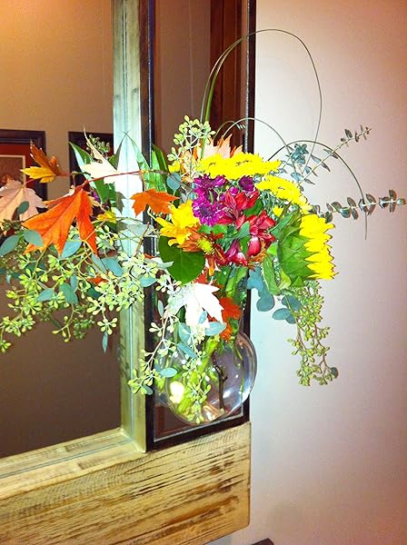 Gadjit Gadjit Vinyl Window Vase Bulb Style Suction Cup for Flowers and Greenery Clear Flexible Design - View 4 of 5