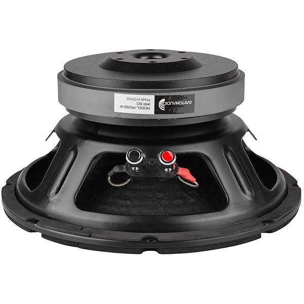 Dayton Audio "Dayton Audio PA255-8 10" Pro Woofer Review: Power, Performance & Value" - View 3 of 4