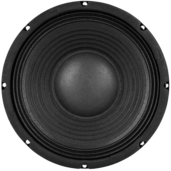 Dayton Audio "Dayton Audio PA255-8 10" Pro Woofer Review: Power, Performance & Value" - View 4 of 4
