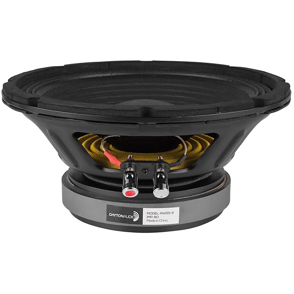 Dayton Audio "Dayton Audio PA255-8 10" Pro Woofer Review: Power, Performance & Value" - View 2 of 4