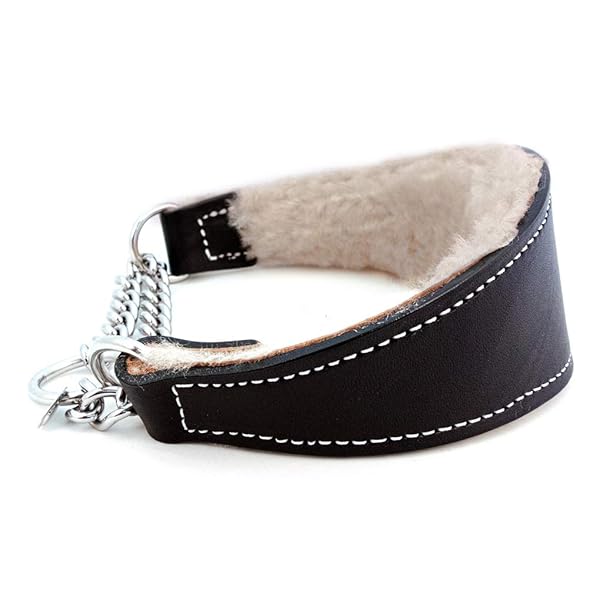 Auburn Leathercrafters Sheepskin Lined Leather Martingale Dog Collar 1.75 Inch Wide 14 Inch Black Durable Comfortable Design