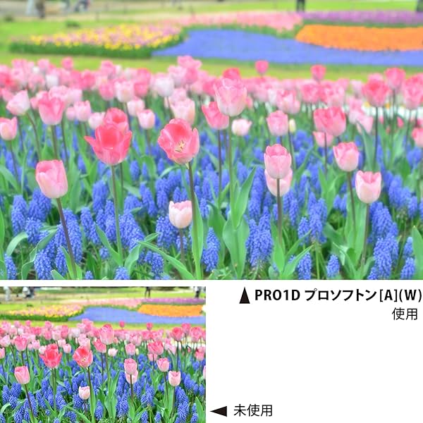 Kenko Kenko 49mm PRO1D Pro Softon Type-A Lens Filter: Enhance Your Photography with Digital-Multi-Coated Quality - View 7 of 8