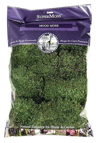 SuperMoss Buy SuperMoss Mood Moss Preserved - 200 Cubic Inch Bag (8oz) in Fresh Green for Home Decor & Crafts