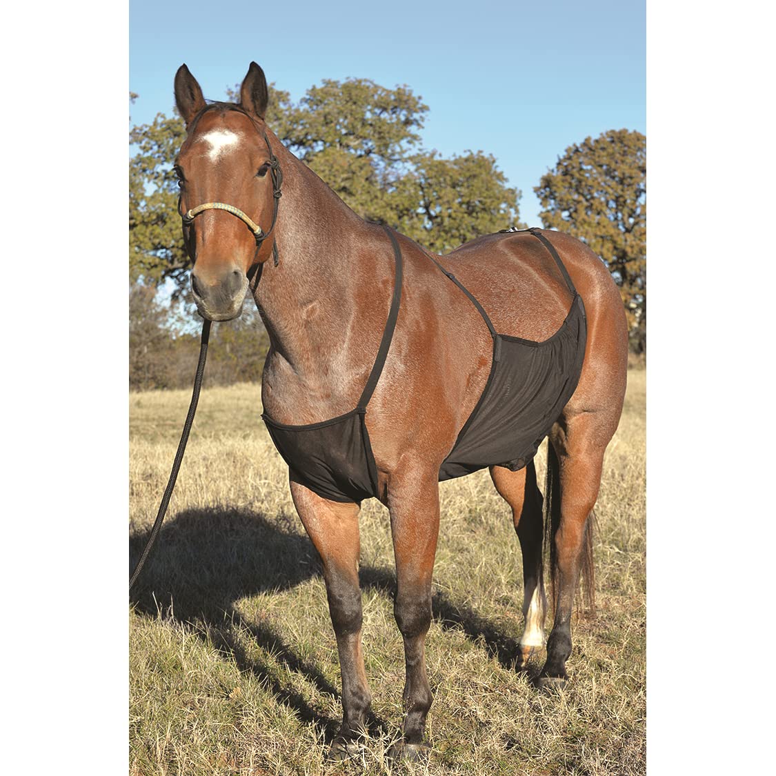 Cashel Cashel Fly Sheet Belly Guard Medium Black for Ultimate Fly Protection and Comfort for Your Horse - View 2 of 2