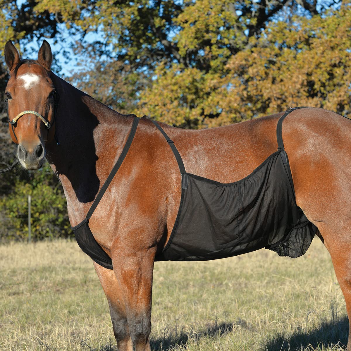 Cashel Cashel Fly Sheet Belly Guard Medium Black for Ultimate Fly Protection and Comfort for Your Horse