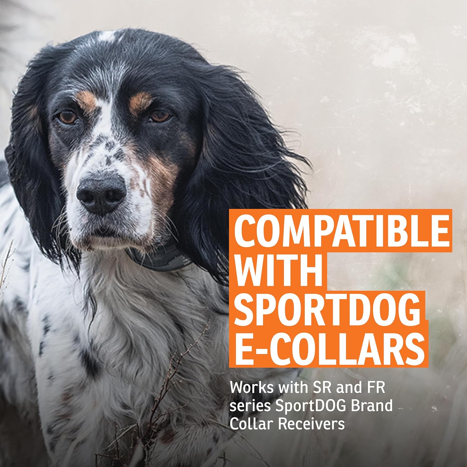 SportDOG SportDOG Brand Short Contact Points Replacement Probes for E-Collars Standard Length 1/2 Inch - View 3 of 7