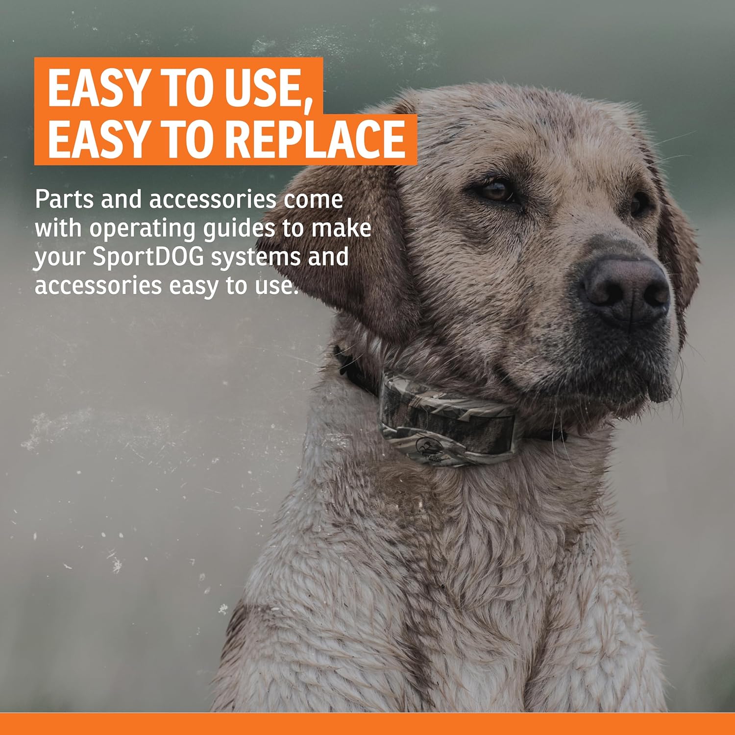 SportDOG SportDOG Brand Short Contact Points Replacement Probes for E-Collars Standard Length 1/2 Inch - View 5 of 7