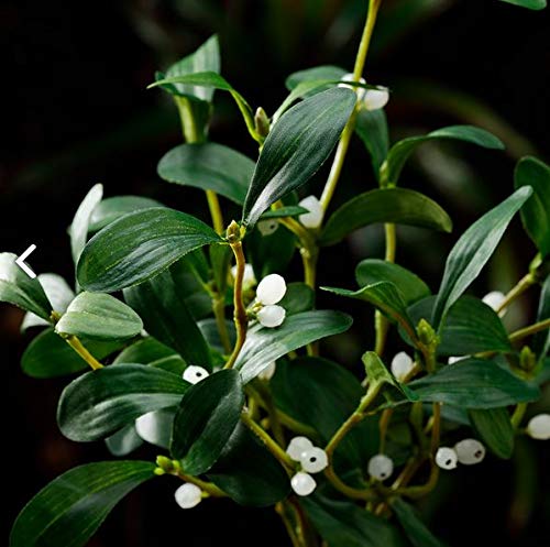 Deco Machine Artificial Silk Green Mistletoe with White Berries and Jute Cord Hanger 10 Inches Long for Easy Display - View 2 of 2