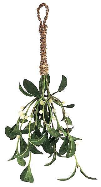 Deco Machine Artificial Silk Green Mistletoe with White Berries and Jute Cord Hanger 10 Inches Long for Easy Display