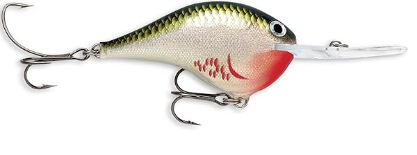 Rapala Dives-To 06 Fishing Lure - 2-Inch Bleeding Olive Shiner for Ultimate Catch Success